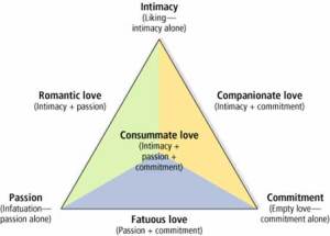 sterberg's types of love
